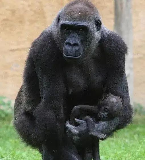 做梦拉大便是什么意思，做梦拉大便是什么意思周公解梦春天梦（生活里需要多一些默默的会心一笑）