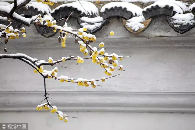 流芳千古的意思，千古流芳的意思是什么（每日一字：芳）