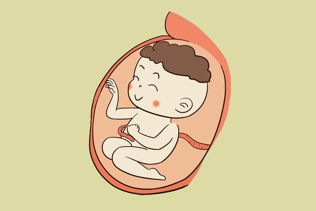 胎动频繁和缺氧区别，胎动频繁和缺氧区别是什么（为什么越到晚上，胎动就越频繁）