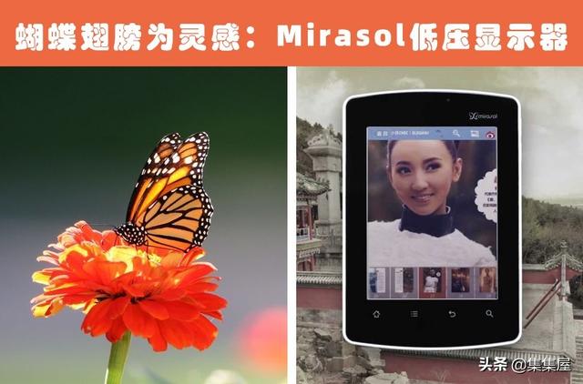 根据动物发明的东西有哪些，根据动物发明的东西有哪些英文（受到了动物的启发）