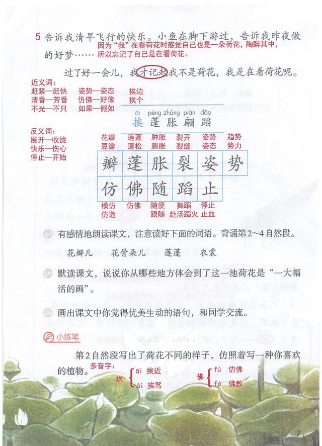 独角仙的特点是什么，独角仙的特点是什么什么,分别用了什么什么什么的方法（三年级语文下《第一单元课堂笔记》三个版本）