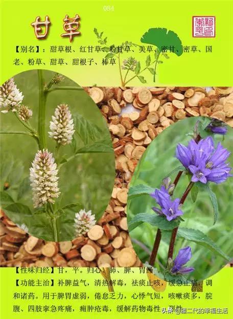 常见中草药图谱，中草药经典图谱（让你知道常用药都长啥样）