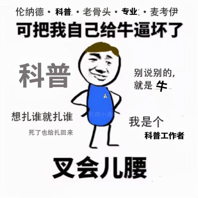 奶酪的营养价值及功效，奶酪棒的营养价值及功效（但选错是添加剂集中营）