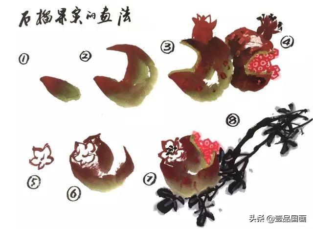 石榴简笔画画法，石榴的简笔画怎么画简单（花卉果蔬系列之石榴的写意画法）