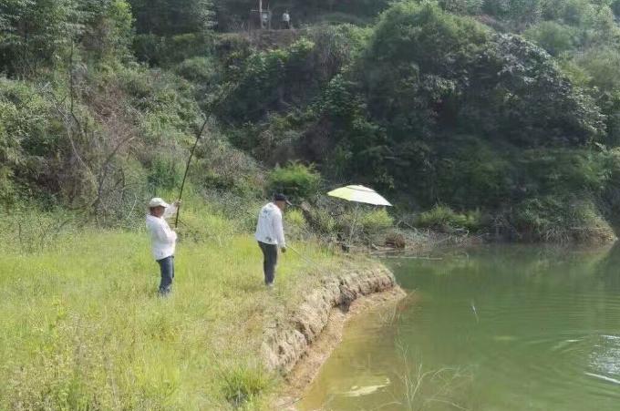 高效速钓草鱼技巧揭秘：掌握关键方法，轻松实现快速上钩（正式确认版）