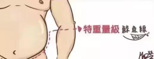 什么是人鱼线，什么是马甲线（人鱼线的四种等级，请对号入座）