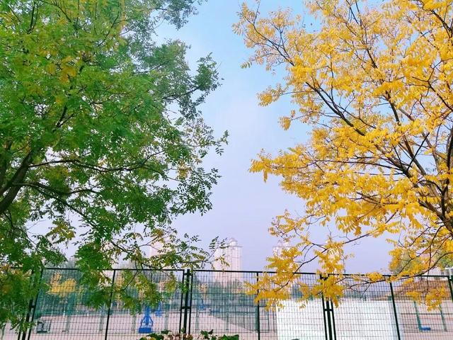 大连财经学院学费，2021年大连财经学院录取通知书查询入口_什么时候收到及发放时间（<八>大连财经学院）