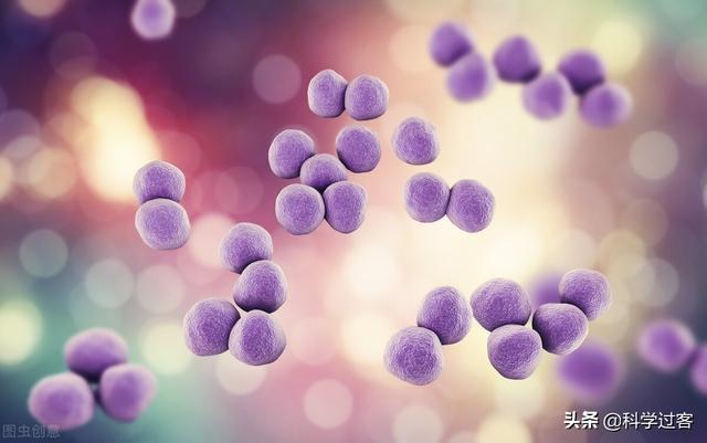 atp合成场所，ATP在哪里合成（仿生机器人、轮子和ATP合酶——漫谈仿生学）