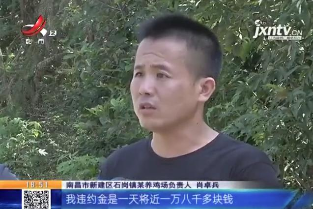养鸡场投资多少钱，养1000只鸡需投资多少（男子投资200万元的养鸡场）