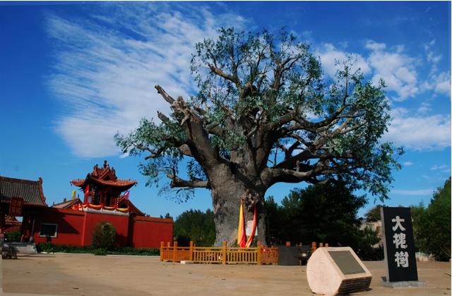 怎么文明说拉屎，拉屎怎么文明的说出来（上厕所为什么叫出恭、如厕、解手呢）