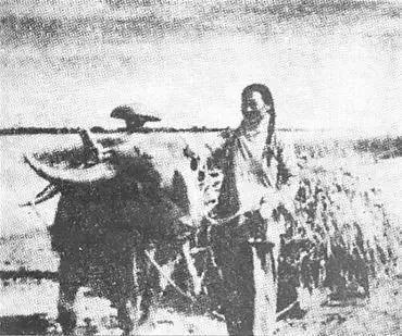 蓄洪和泄洪的区别，泄洪与泄洪的区别（自愿“牺牲”的1600万中国人）