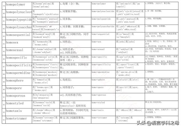 国民homo什么意思，homolive什么梗（总结了367个以hyper、240个以hypo前缀、106个以homo前缀的单词）