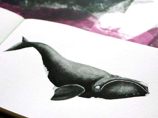 我想我是海歌词，海浪无声将夜幕深深淹没是哪首歌（我想我是海宁静的深海）