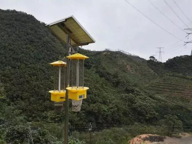 飞蛾为什么要扑火，飞蛾为什么扑火（真正原因可能只有飞蛾自己知道）