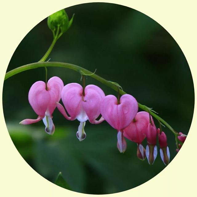 风景照片图片大全，微信头像，风景照片图片大全（令人心旷神怡的美景）