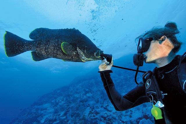 海底生物图片大全，海洋馆有什么海洋生物图片（潜伏于海底的奇妙生物）