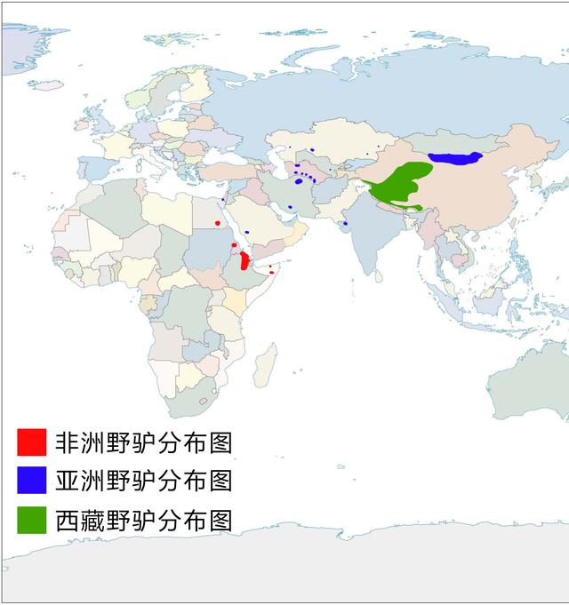 骡子是什么，骡子是什么时候出现的（如何区分马、骡子和驴）
