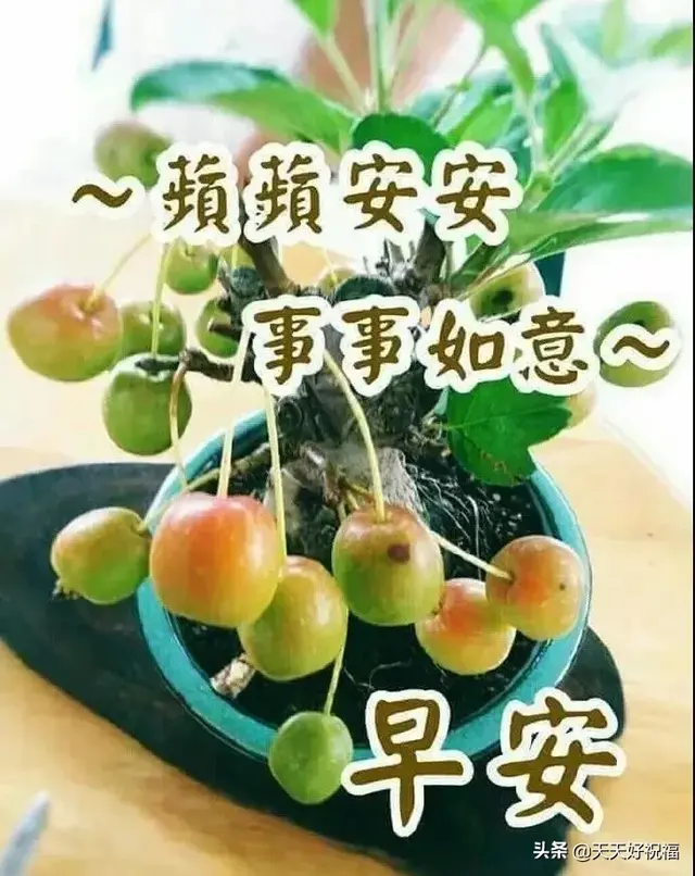 祝福的句子简短，祝福的句子简短朋友（新的一天早安朋友圈简短祝福语）