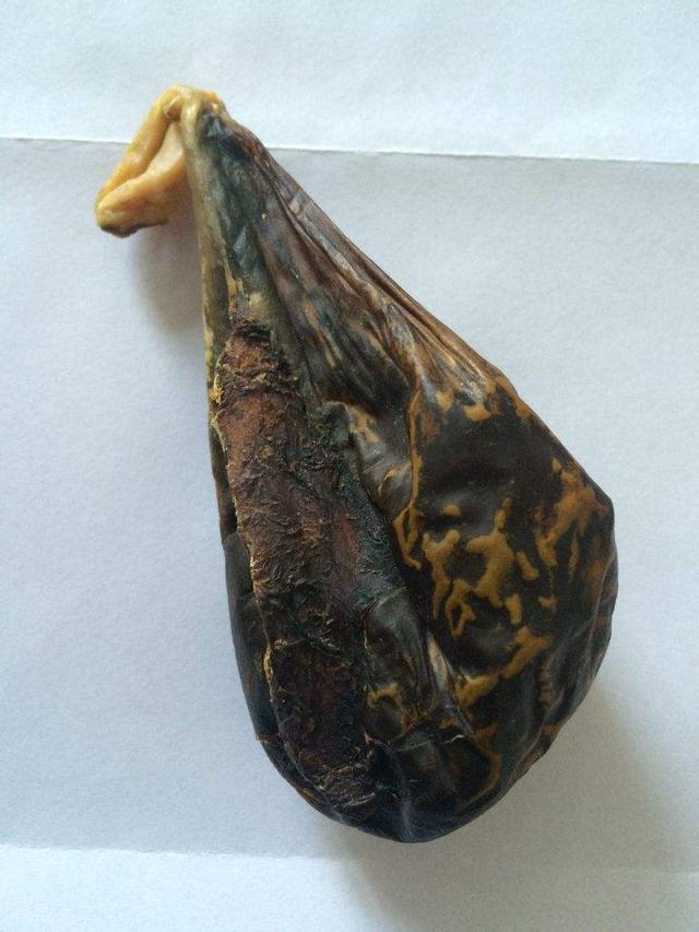 东北三宝是哪三宝，东北三宝是指哪三宝（东北三宝是指什么）