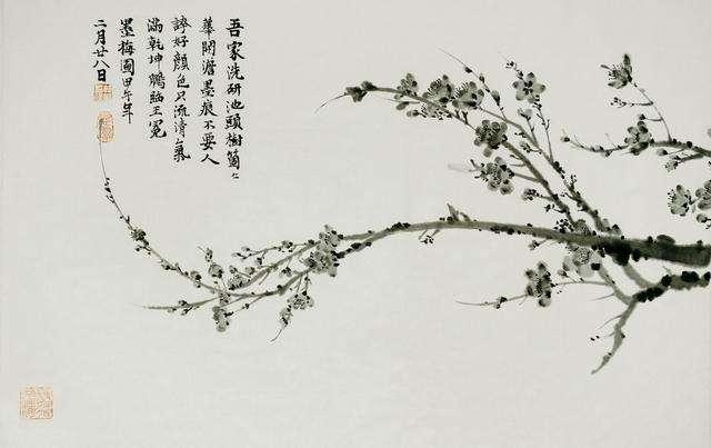 梅花什么颜色，冬天的梅花什么颜色（在古诗词中优雅地绽放）