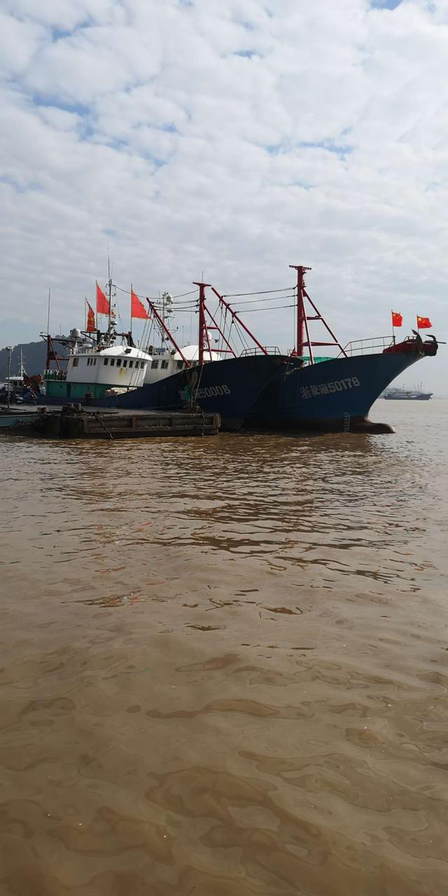 鱼算海鲜么，烤鱿鱼算海鲜么（海鲜种类你们认识多少）