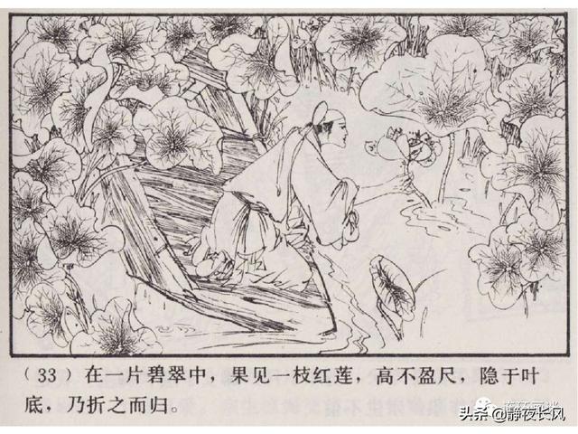 莲花香是什么意思，一把莲花香是什么意思（为什么说聊斋中的《荷花三娘子》）