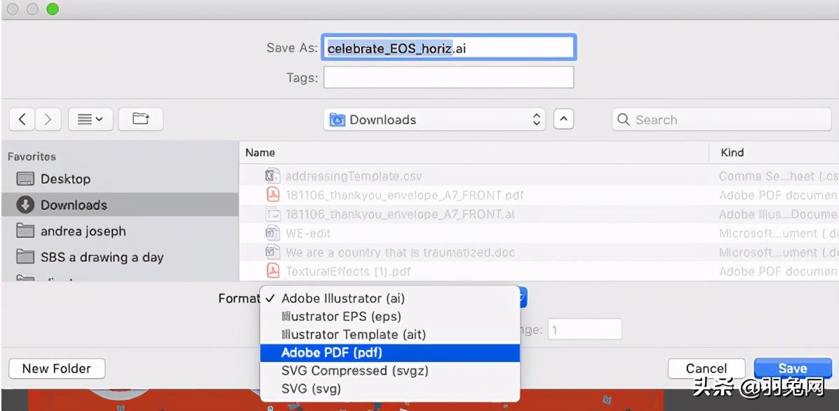 pdf矢量图是什么意思（pdf图片是矢量图吗）