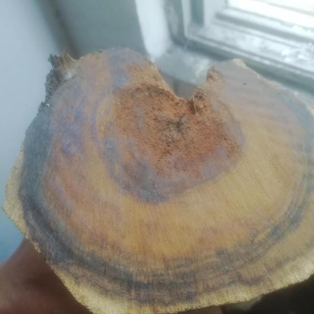 黄花梨的特点是什么，黄花梨的缺点（如何一眼判定是不是黄花梨）