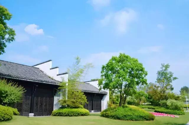 黄山哪里泡温泉好，黄山哪里泡温泉好些（选择这10家最美的酒店准没错）