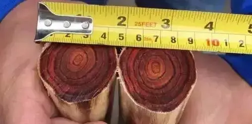 缅甸花枝是红木吗，缅甸花枝是红木吗值钱吗（18种濒危管制红木木种盘点）