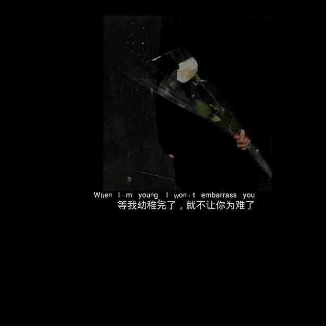 文案图片，文案图片高清（只期待后来的你能快乐）