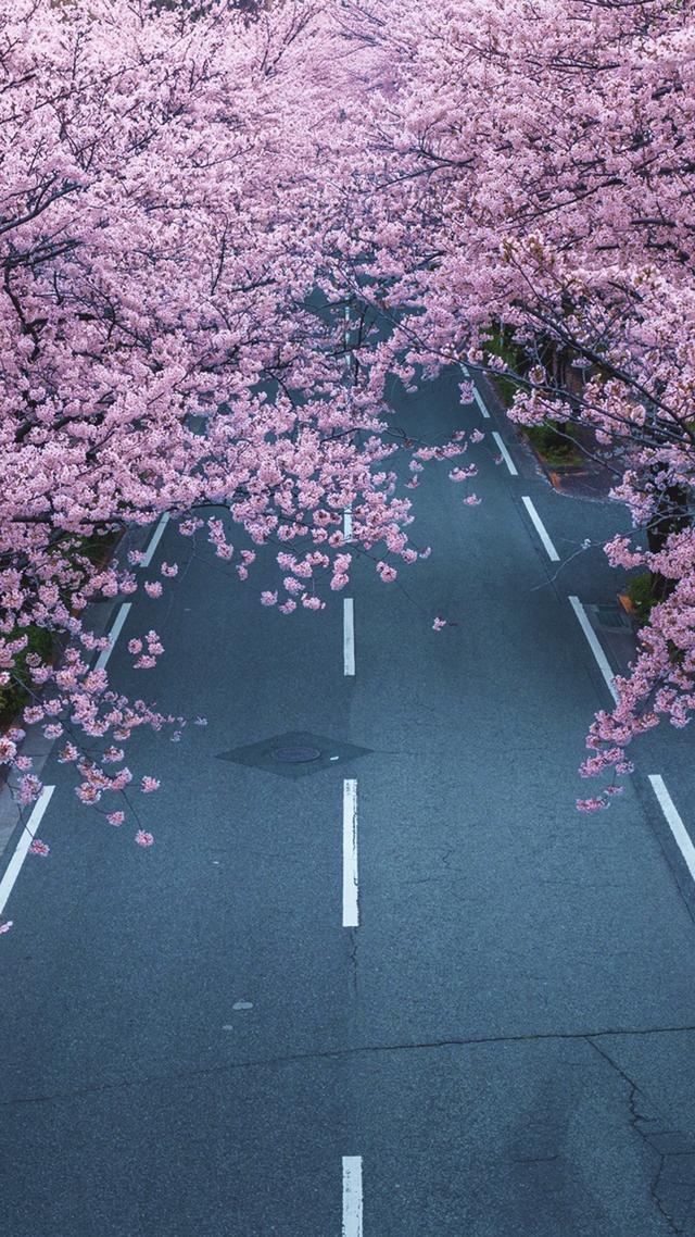 风景图片手机壁纸，超美风景手机壁纸高清（唯美手机锁屏风景壁纸）