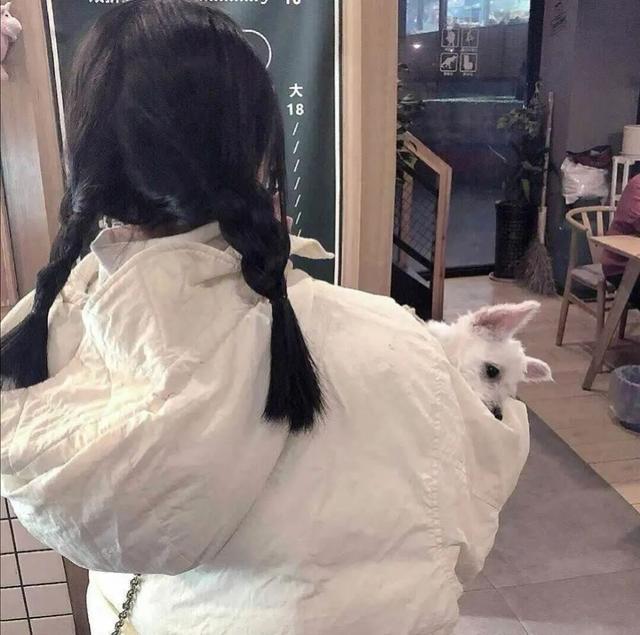 好看真人头像女生，真人高清优质女生头像微信（好看小姐姐来袭）