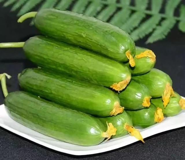 老鼠瓜种植时间及技术，老鼠瓜是什么瓜（农业种植“迷你”品种）