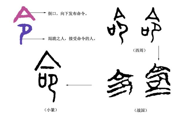 就什么意思解释，就字笔画笔顺（“命”的意思是“生命”吗）