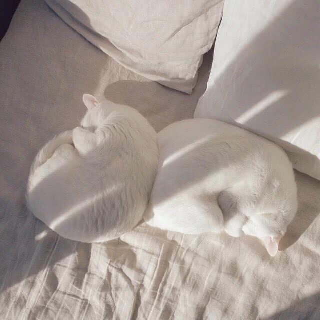 失望，微信头像，失望（今日头像丨每一个失望的人都该有一个新的开始）