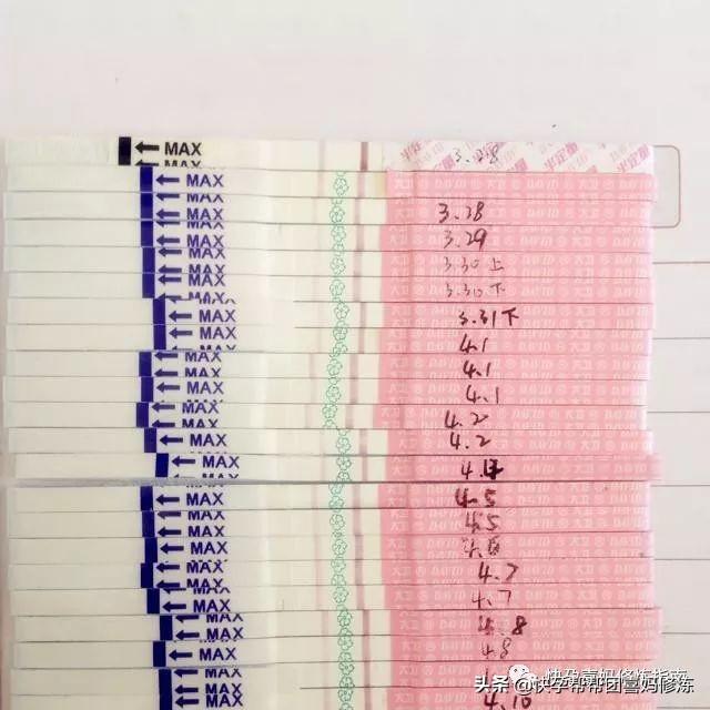 30天排卵日期表图，生理排卵期的周期表（备孕怀孕第1步）