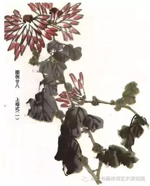 花的画法——菊花的画法，菊花是怎么画（菊花画法大全）