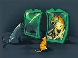 所有的动物都需要刷牙吗,所有的动物都需要刷牙吗英语(为什么动物从来不刷牙) 所有的动物都需要刷牙吗,所有的动物都需要刷牙吗英语(为什么动物从来不刷牙)