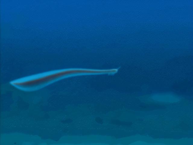 宇宙进化系统，为什么只有人类进化出高度发达的大脑