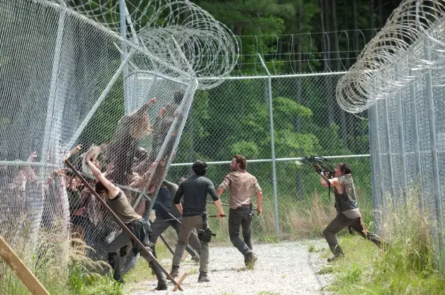 行尸走肉洛莉怎么死的，行尸走肉里的洛莉（把《行尸走肉》从神剧变成烂剧）
