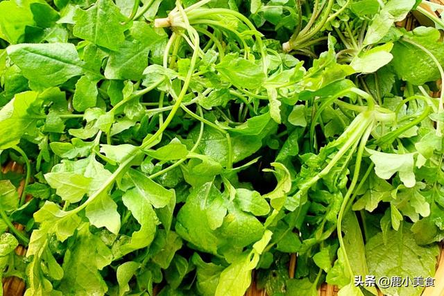 春季时令菜制作方法，时令菜怎么做（别忘吃“开春5鲜菜”）