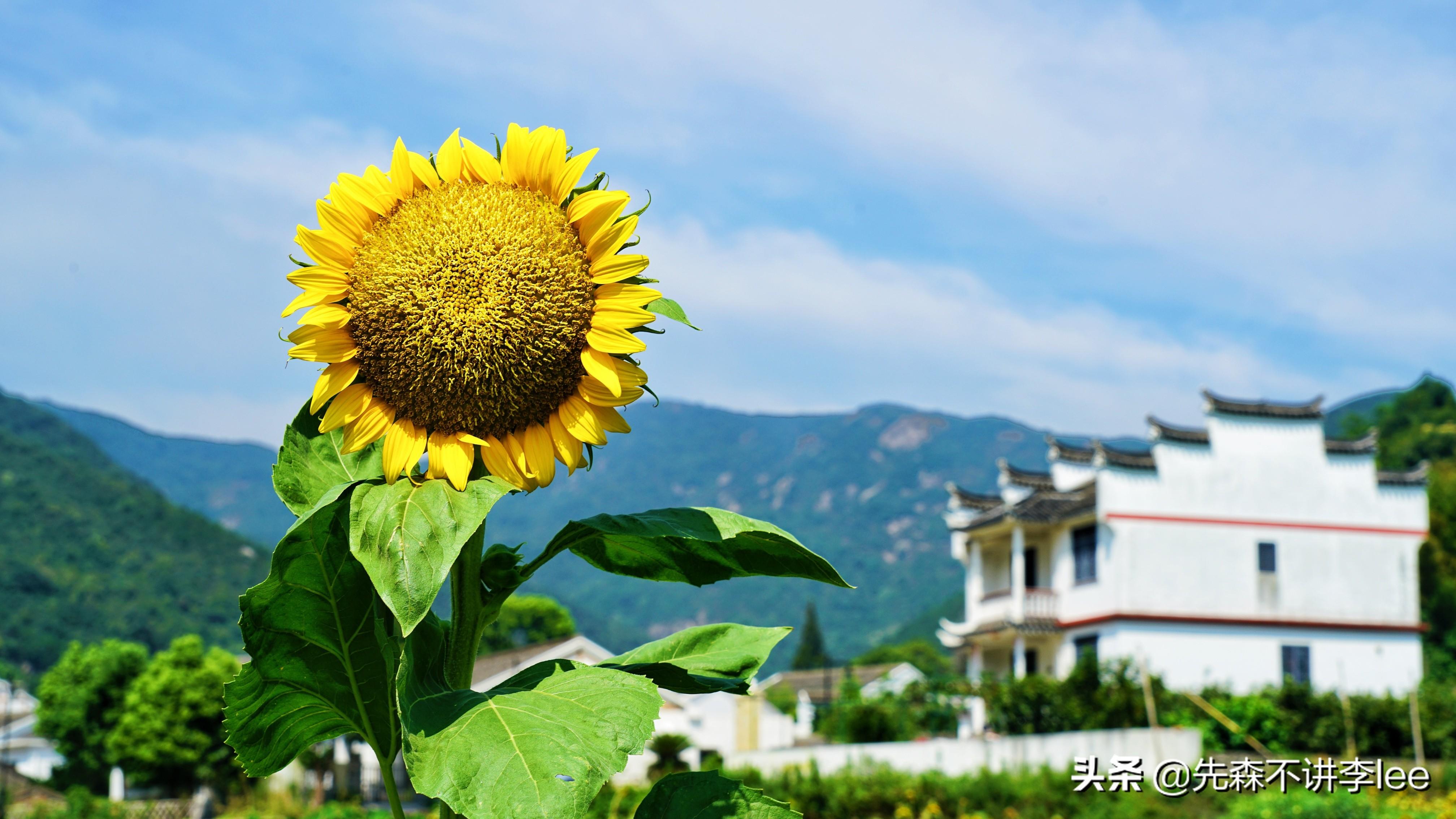舟山最好玩的地方不是东极岛，也(舟山东极岛有什么好玩的地方)
