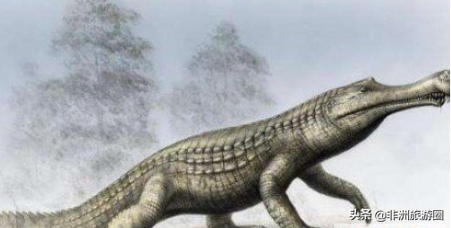 世界上最大的鳄鱼，世界上最大的鳄鱼是什么（最长13米—屋子都装不下）