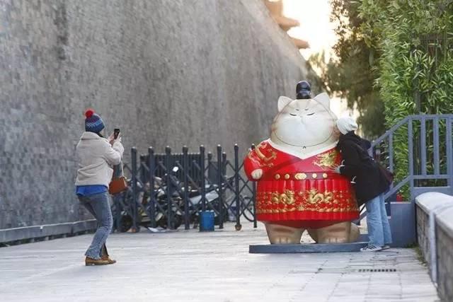 故宫最胆小御猫，我们只是惊呼是不够的