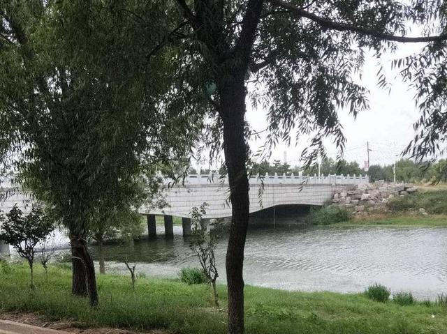 五味杂陈下一句是什么（五味杂陈，个中滋味）