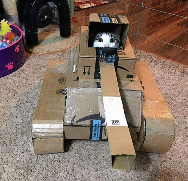 如何用最简单的材料给猫咪做玩具，如何用最简单的材料给猫咪做玩具熊（网友给家里的猫打造纸箱坦克）