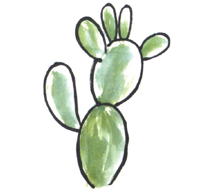 画仙人掌注意什么，画仙人掌步骤（仙人掌、牵牛花的基础画法）