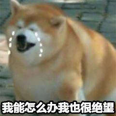 离骚必修二原文，必修二离骚课文原文（学生时代最难背的文言文是哪篇）