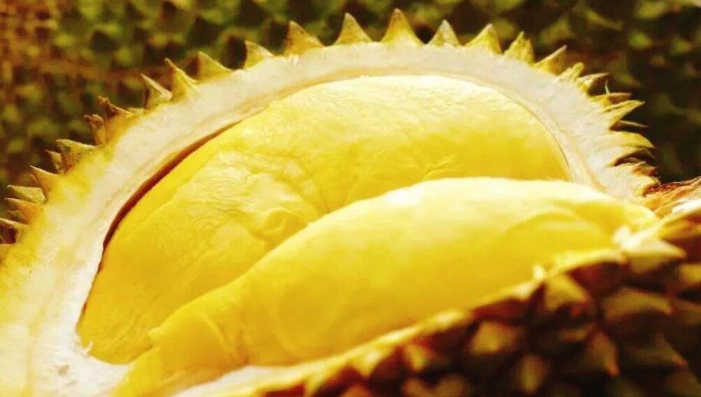 图片[3]-选榴莲技巧 只需看这5点 轻松选出皮薄肉厚 又香又甜的榴莲-起舞食谱网